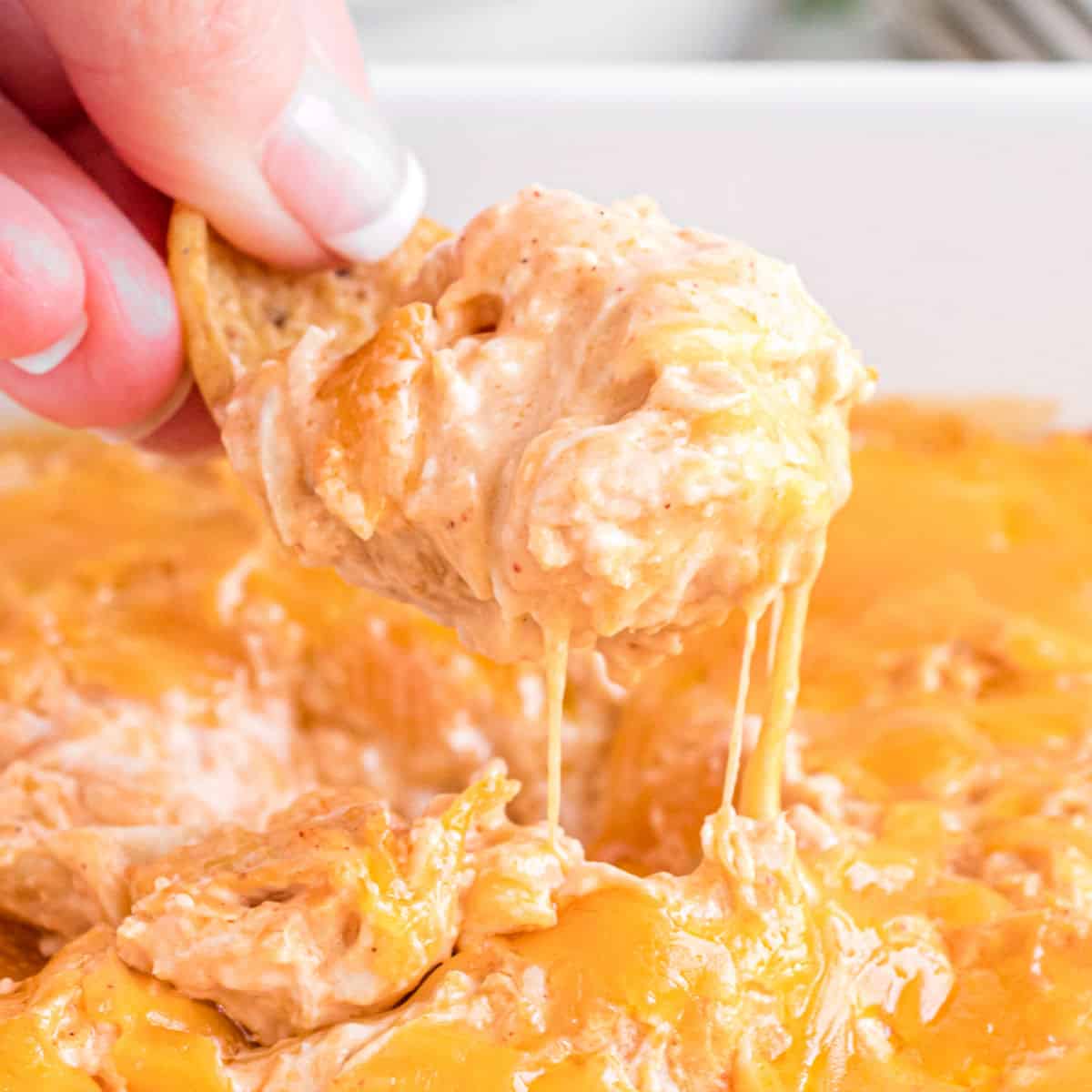 buffalo-chicken-dip-recipe