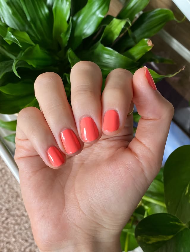Rosewood Glow