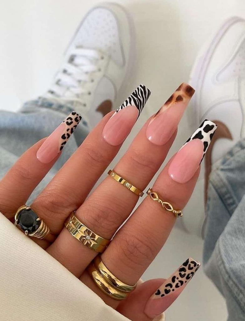 Multi Animal Prints