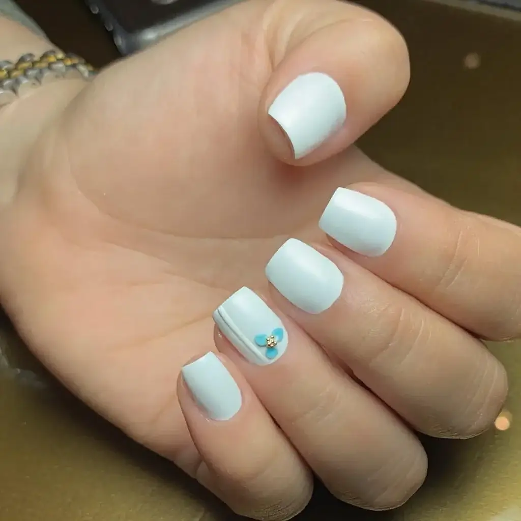 Modern Petite Curve
