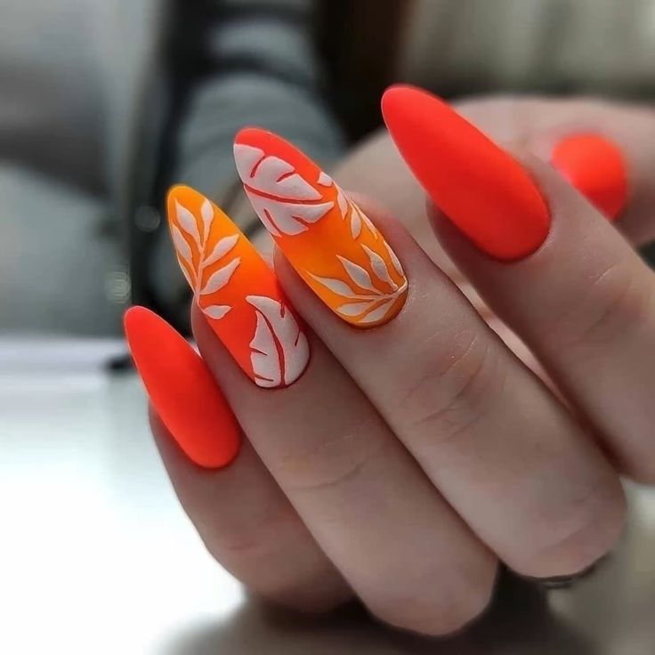 Sunset Fever
