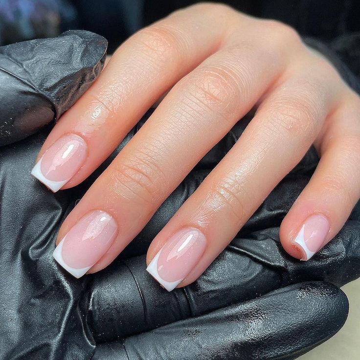 Soft Beige Harmony